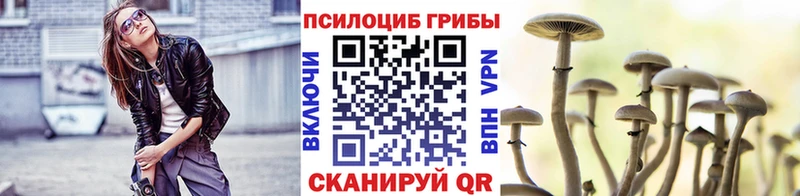 купить наркоту  Бикин  Галлюциногенные грибы GOLDEN TEACHER 